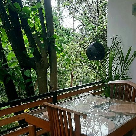Dhanudi Homestay エッラ エクステリア 写真