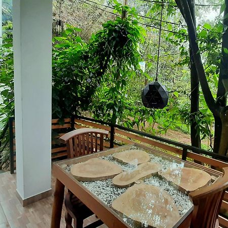 Dhanudi Homestay エッラ エクステリア 写真