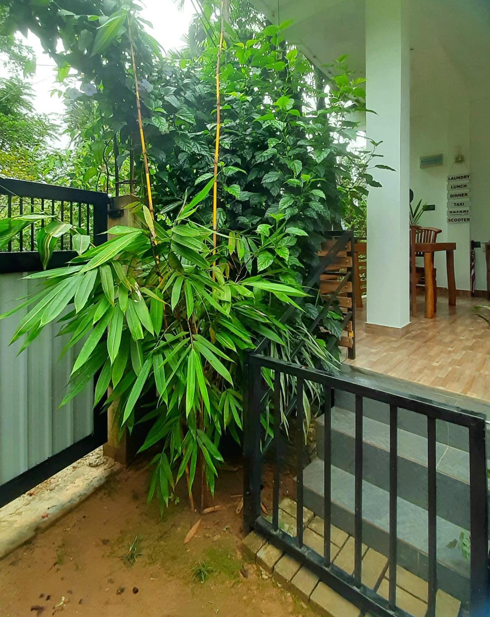 Dhanudi Homestay エッラ エクステリア 写真
