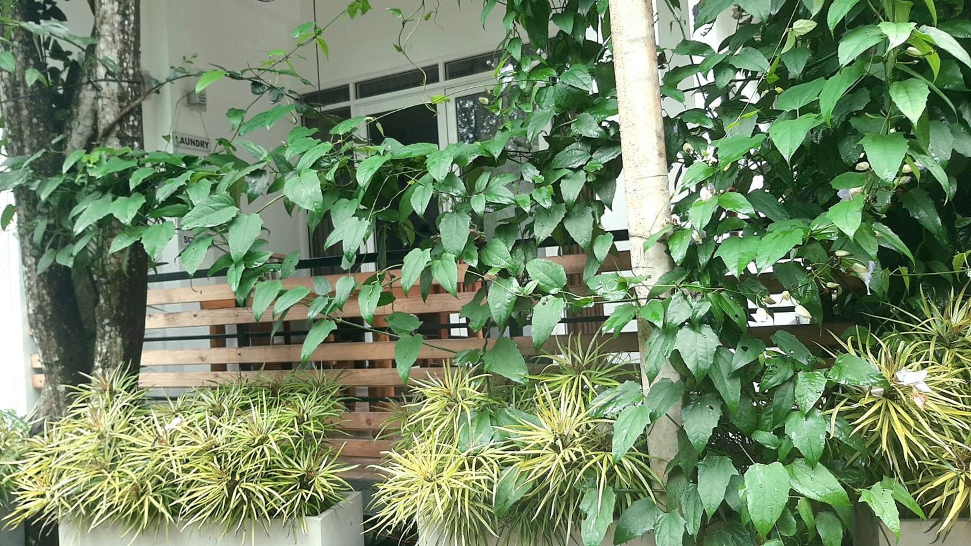 Dhanudi Homestay エッラ エクステリア 写真