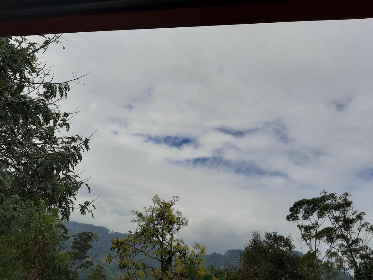 Dhanudi Homestay エッラ エクステリア 写真