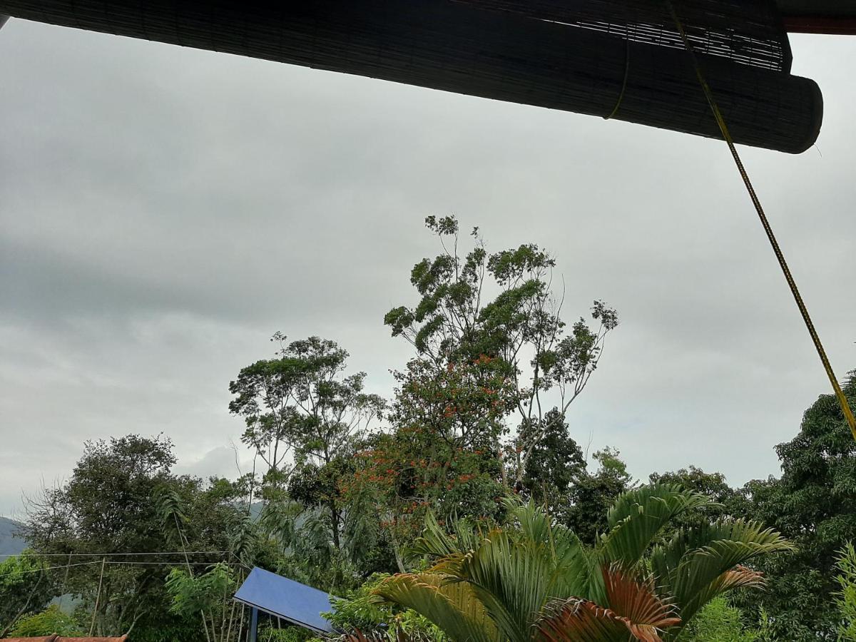 Dhanudi Homestay エッラ エクステリア 写真